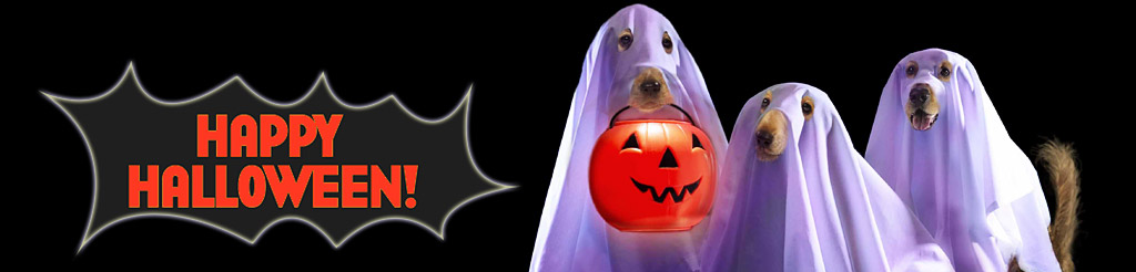 Halloween 2020 Photo Contest